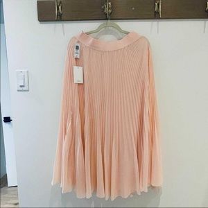 Aritzia twirl skirt - colour as shown in cover photo